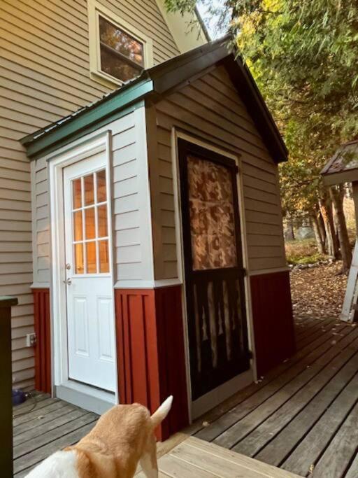 Cedar camp