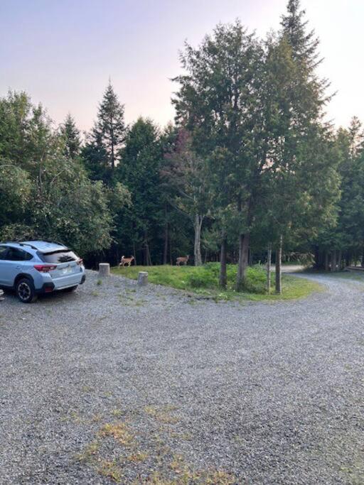 Cedar camp