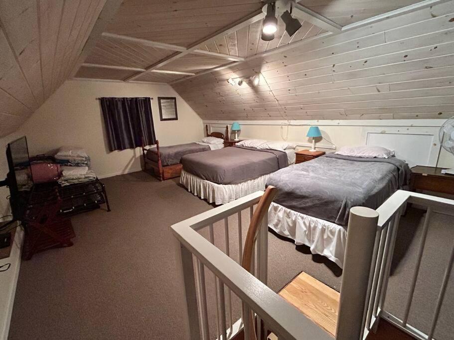 Cedar camp