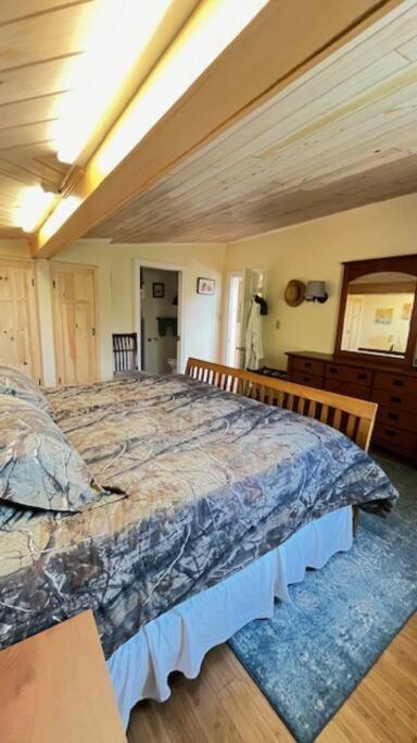 Cedar camp