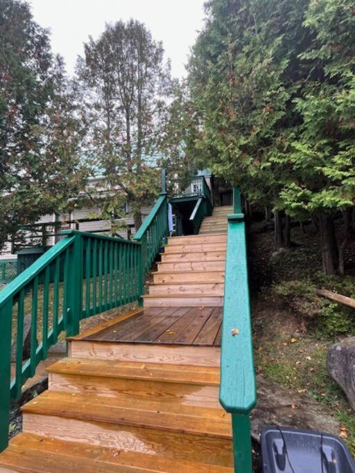 Cedar camp