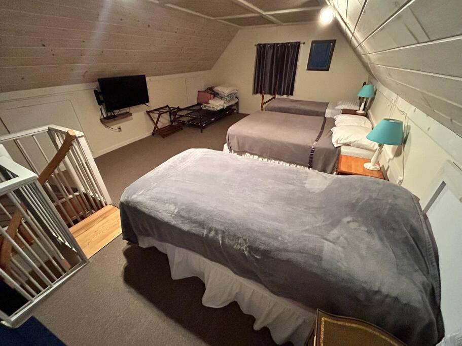 Cedar camp