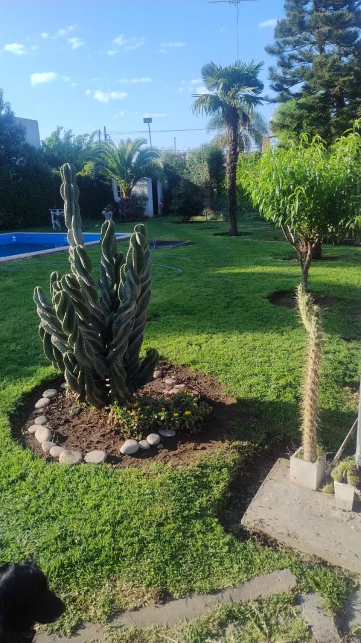 Las Camelias