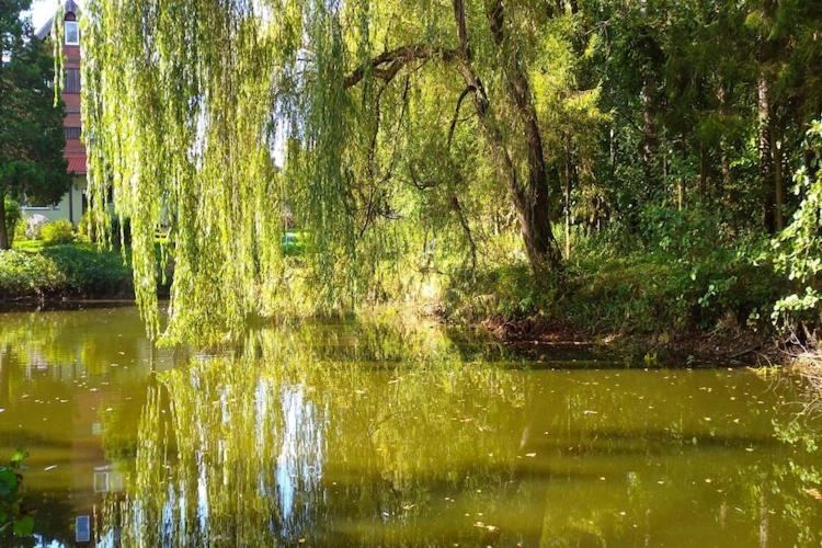 Half of a holiday home, huge garden, pond