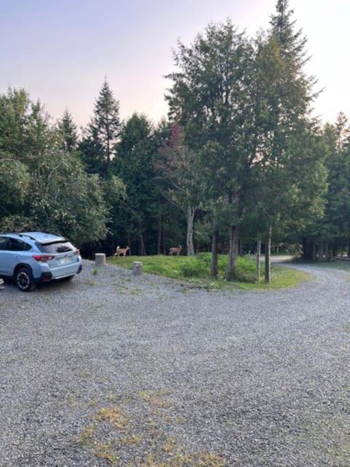 Cedar camp