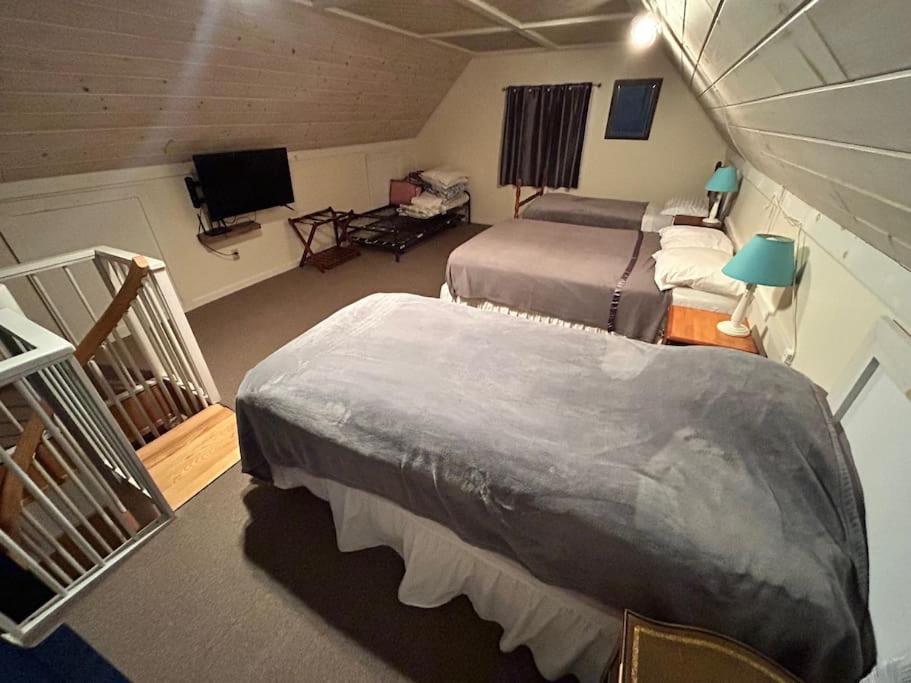 Cedar camp