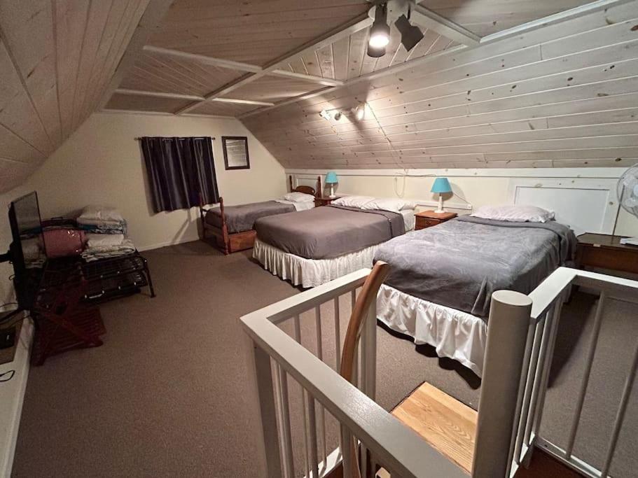 Cedar camp