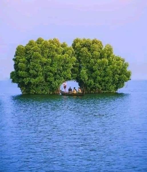 Bliss Homestay Munroe Island view 2