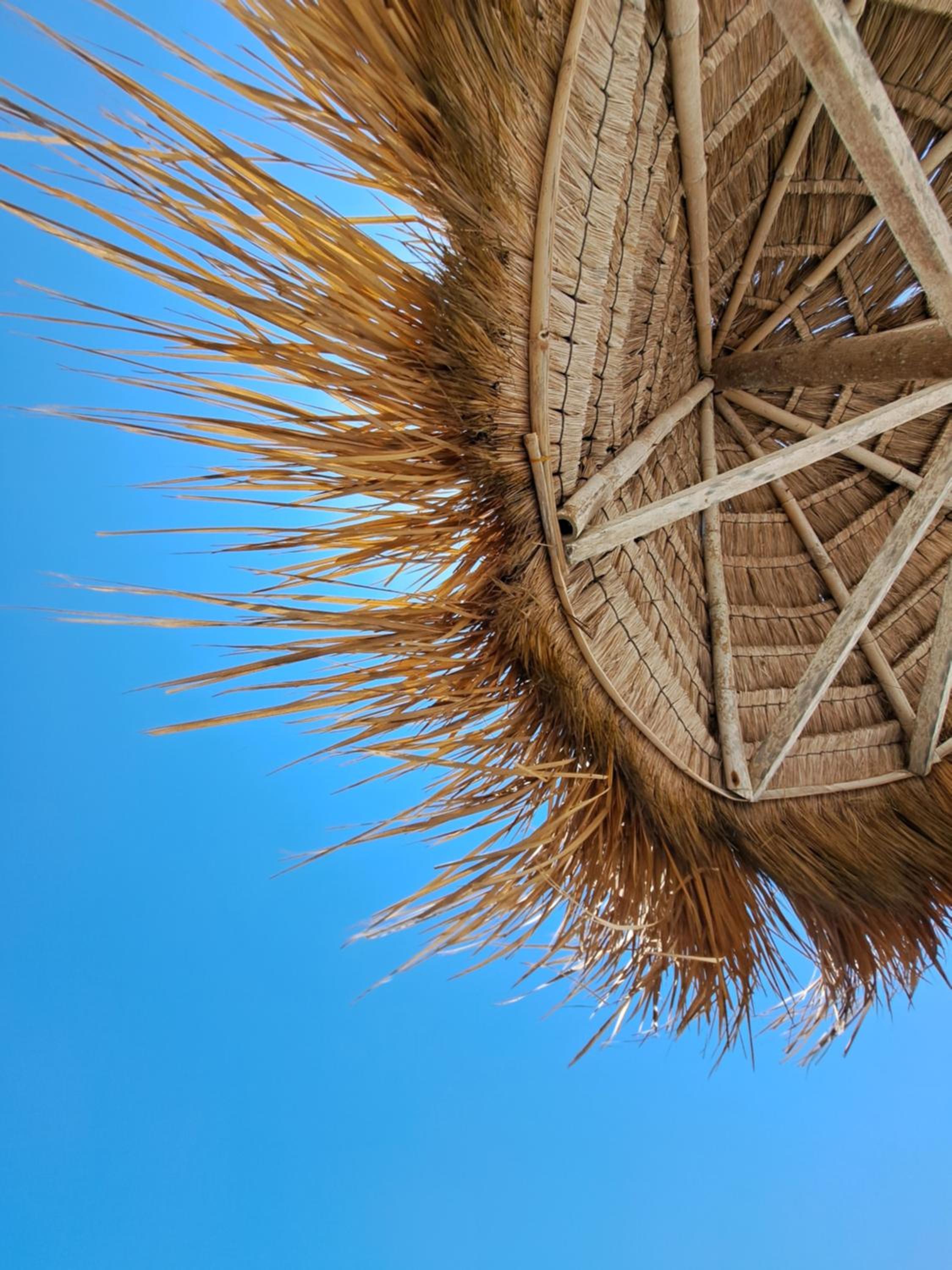 Coco Colada Bungalows