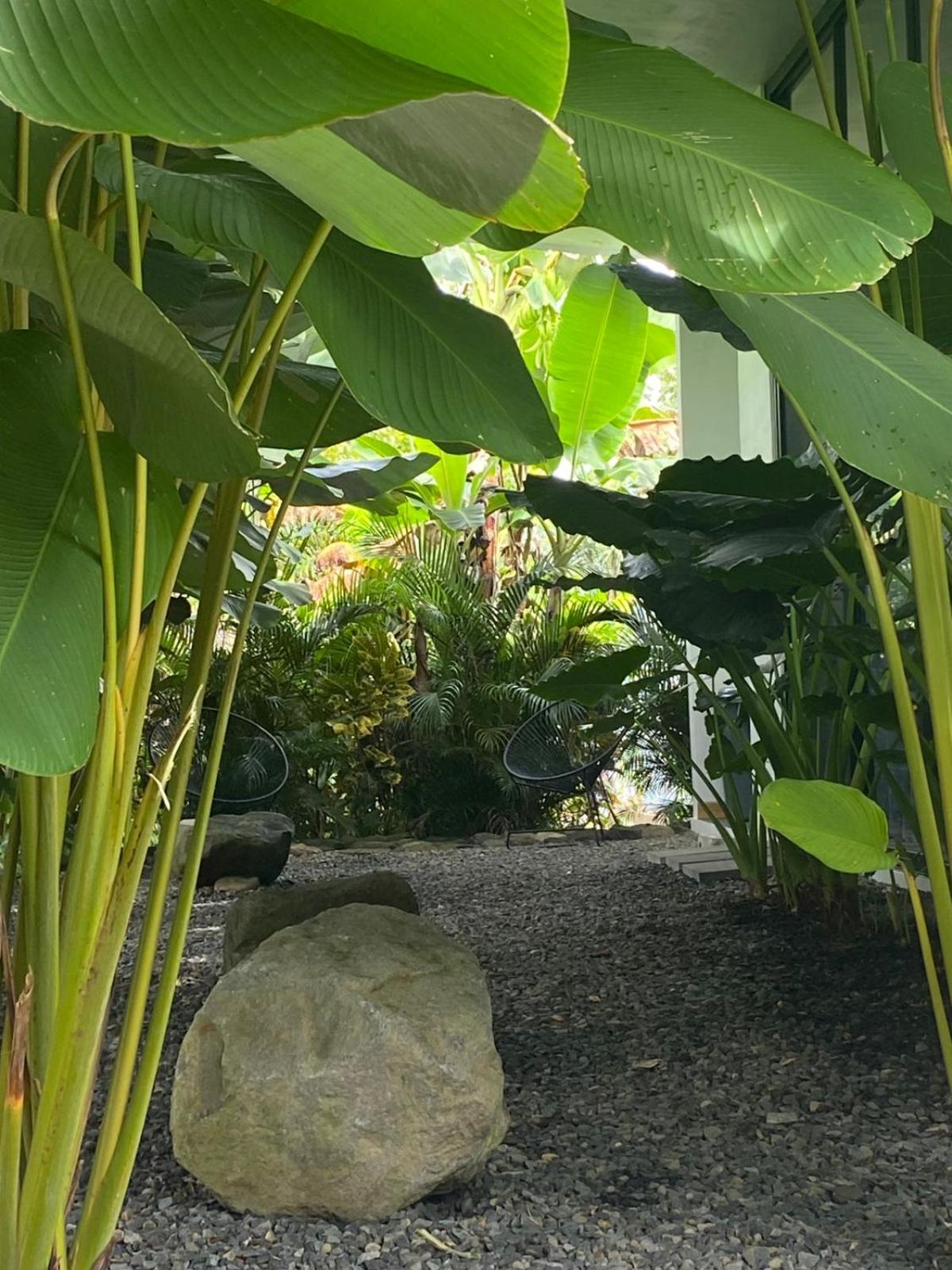 Toucan home