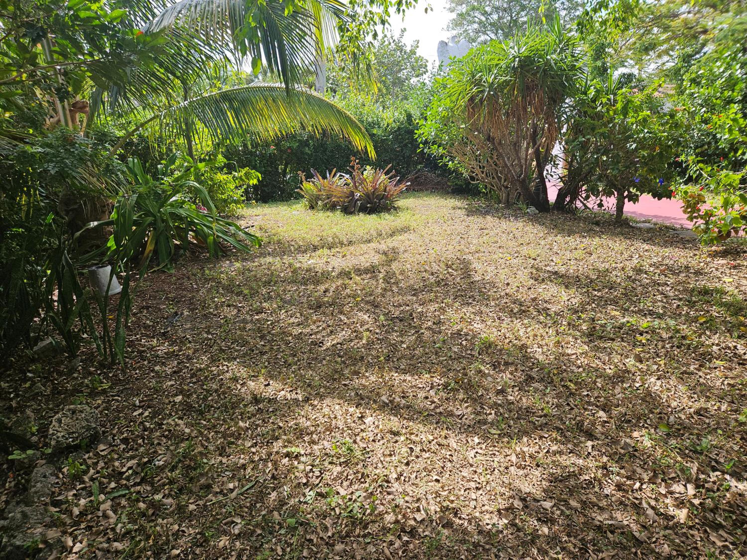 Photo 31