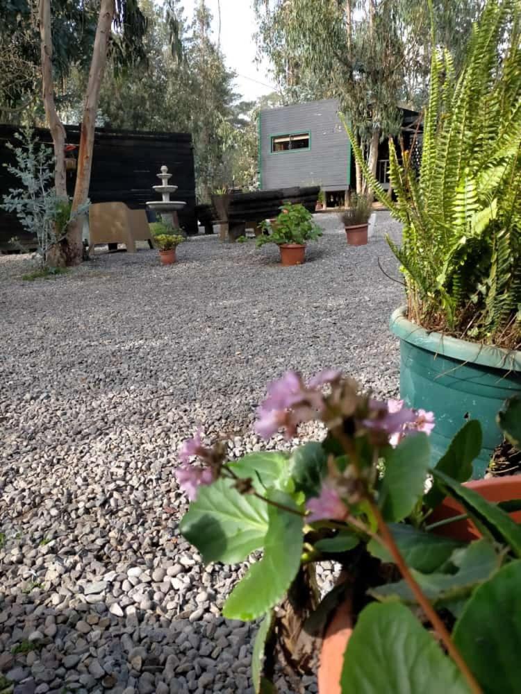 Bosques de San José Lodge