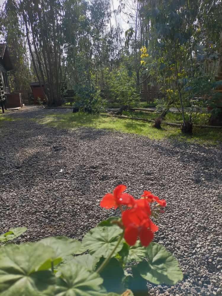 Bosques de San José Lodge