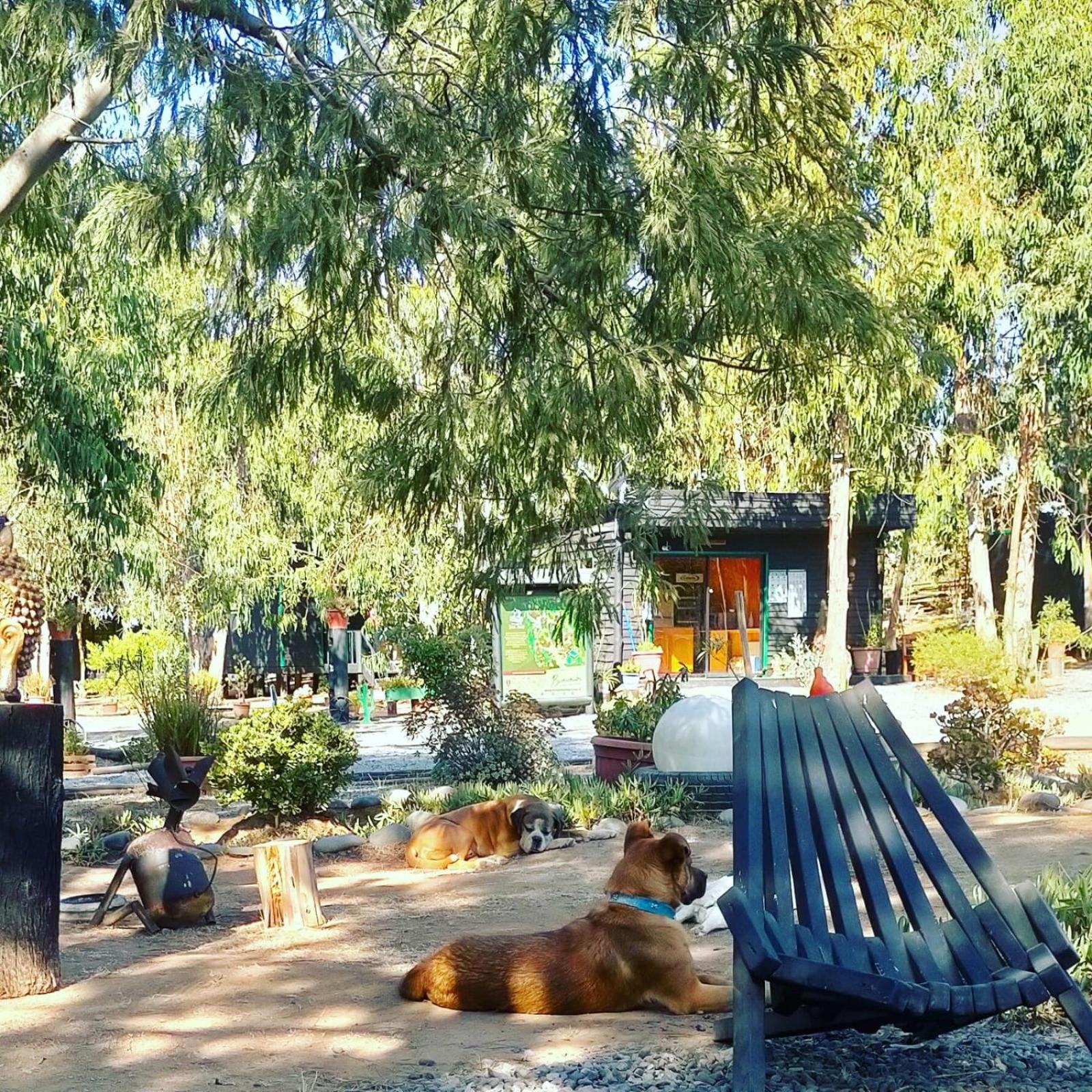 Bosques de San José Lodge