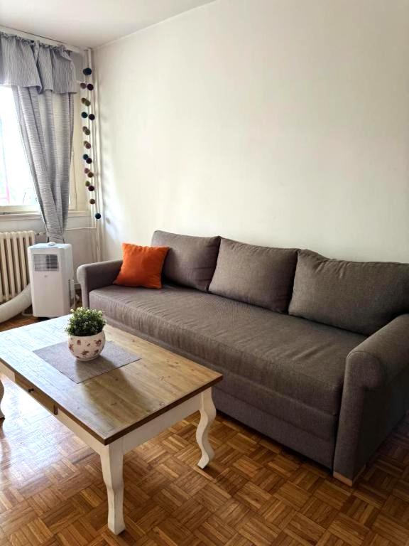 Only YOU Apartment Cukarica view 3