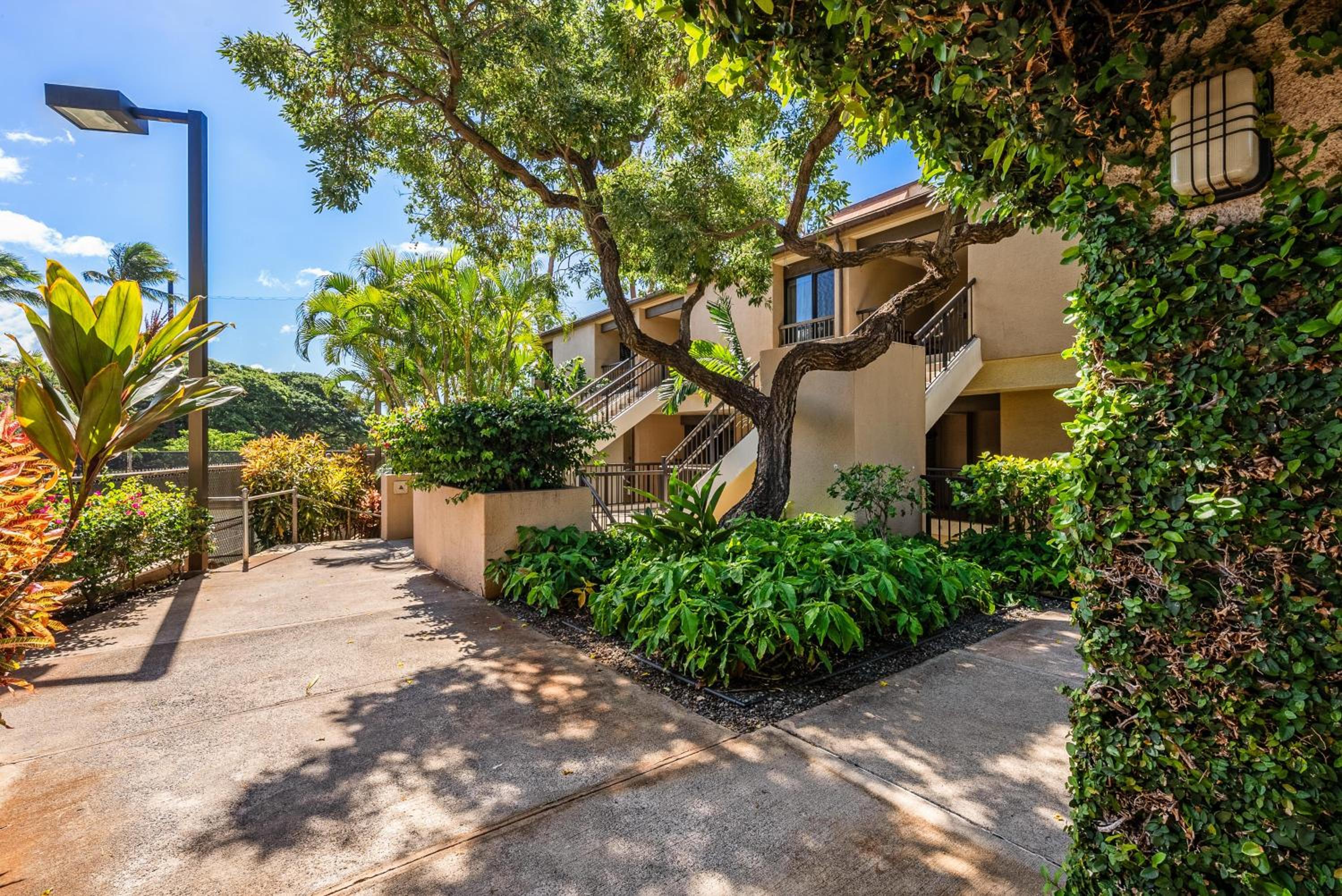 Kaanapali Royal A303 · KRL A303 Relaxing Hawaiian 2BD on Golf Co