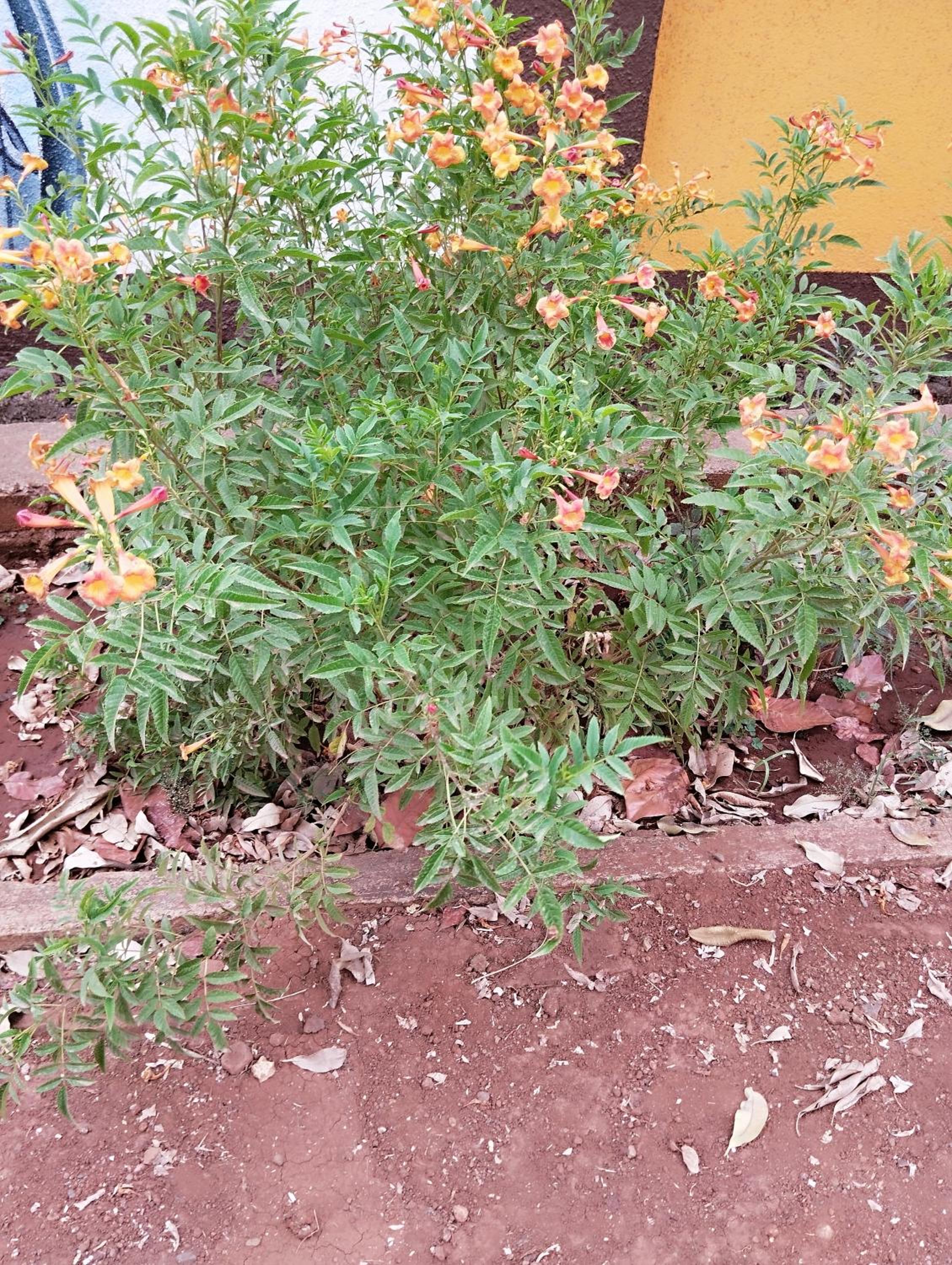 Photo 34