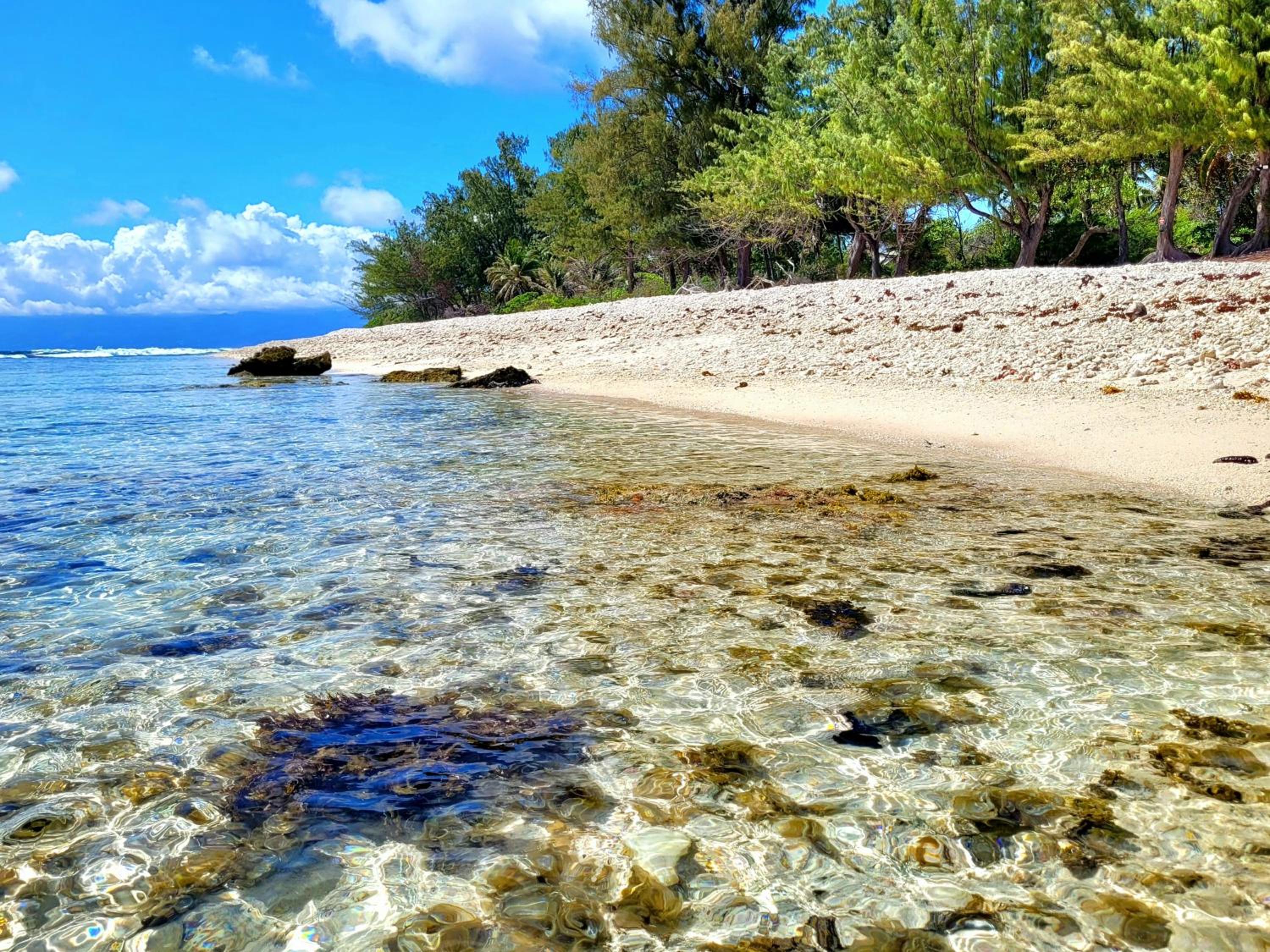 Fare U'upa - Bungalow côté mer, proche plage Temae view 4