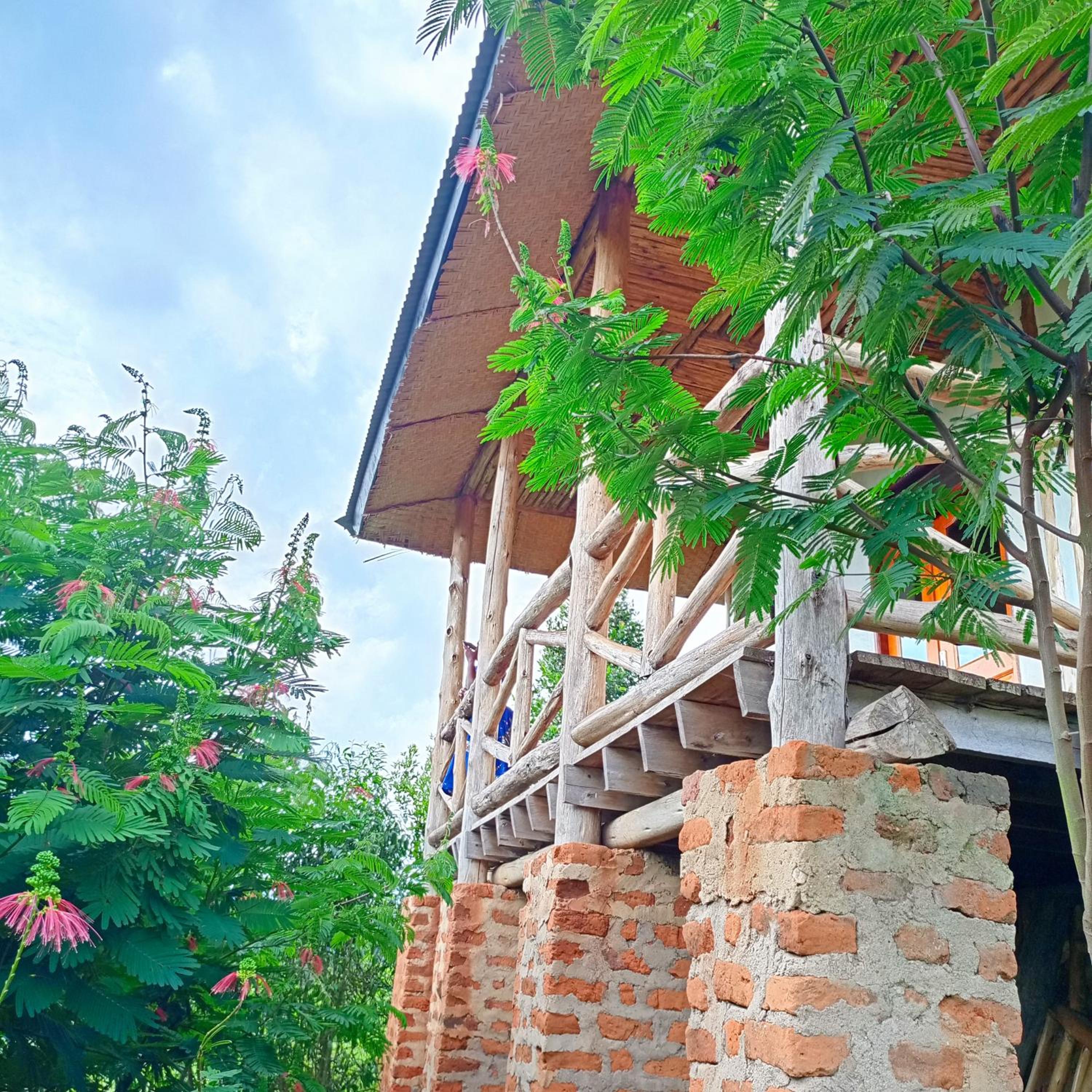 Bwindi Neckview Lodge