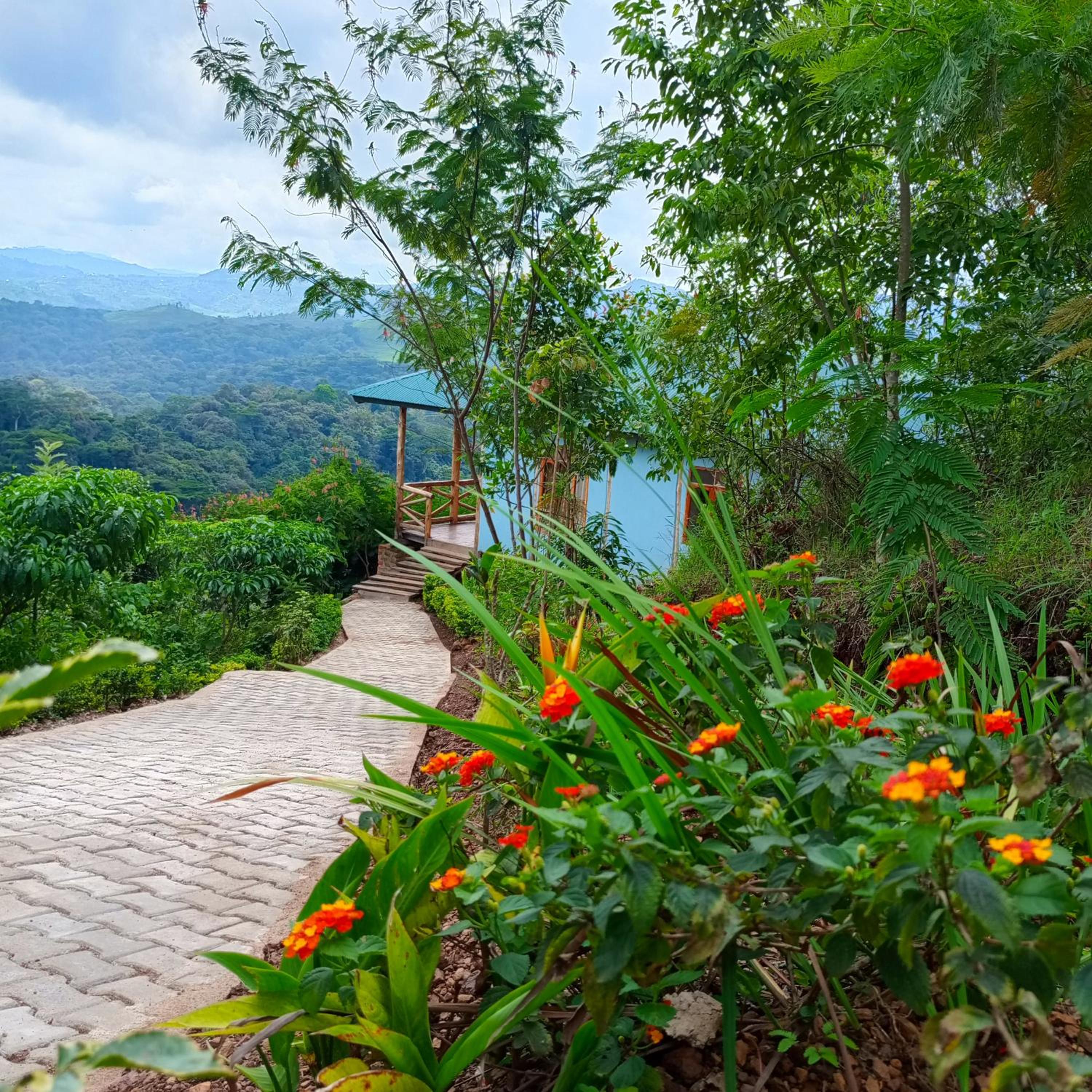 Bwindi Neckview Lodge