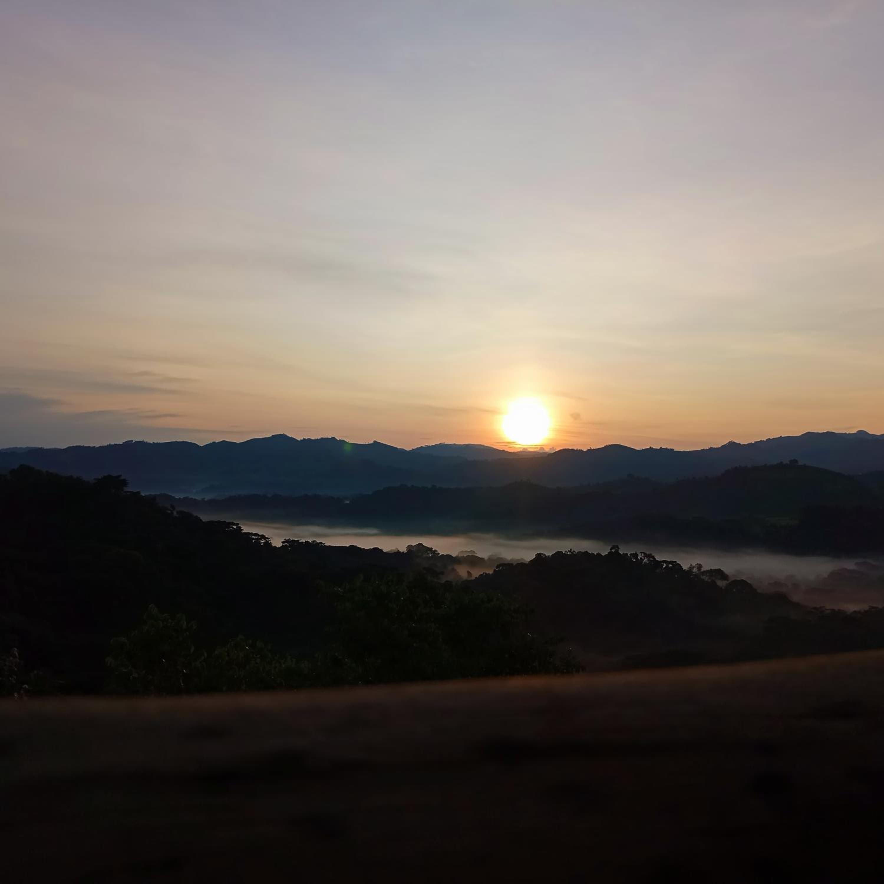 Bwindi Neckview Lodge