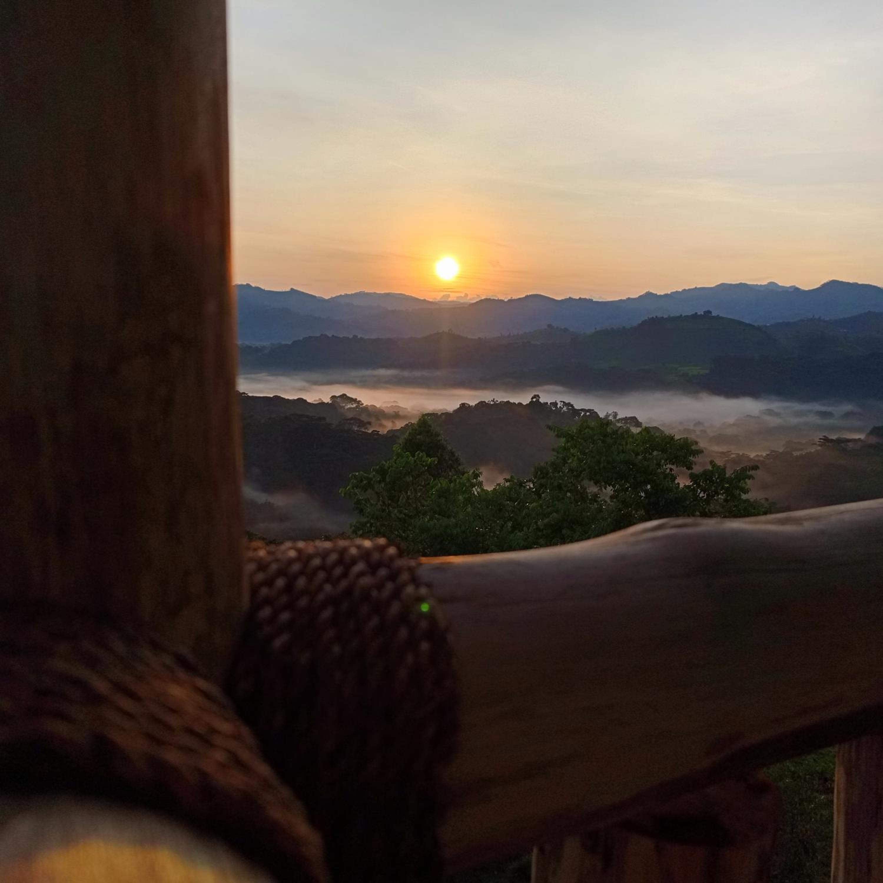 Bwindi Neckview Lodge