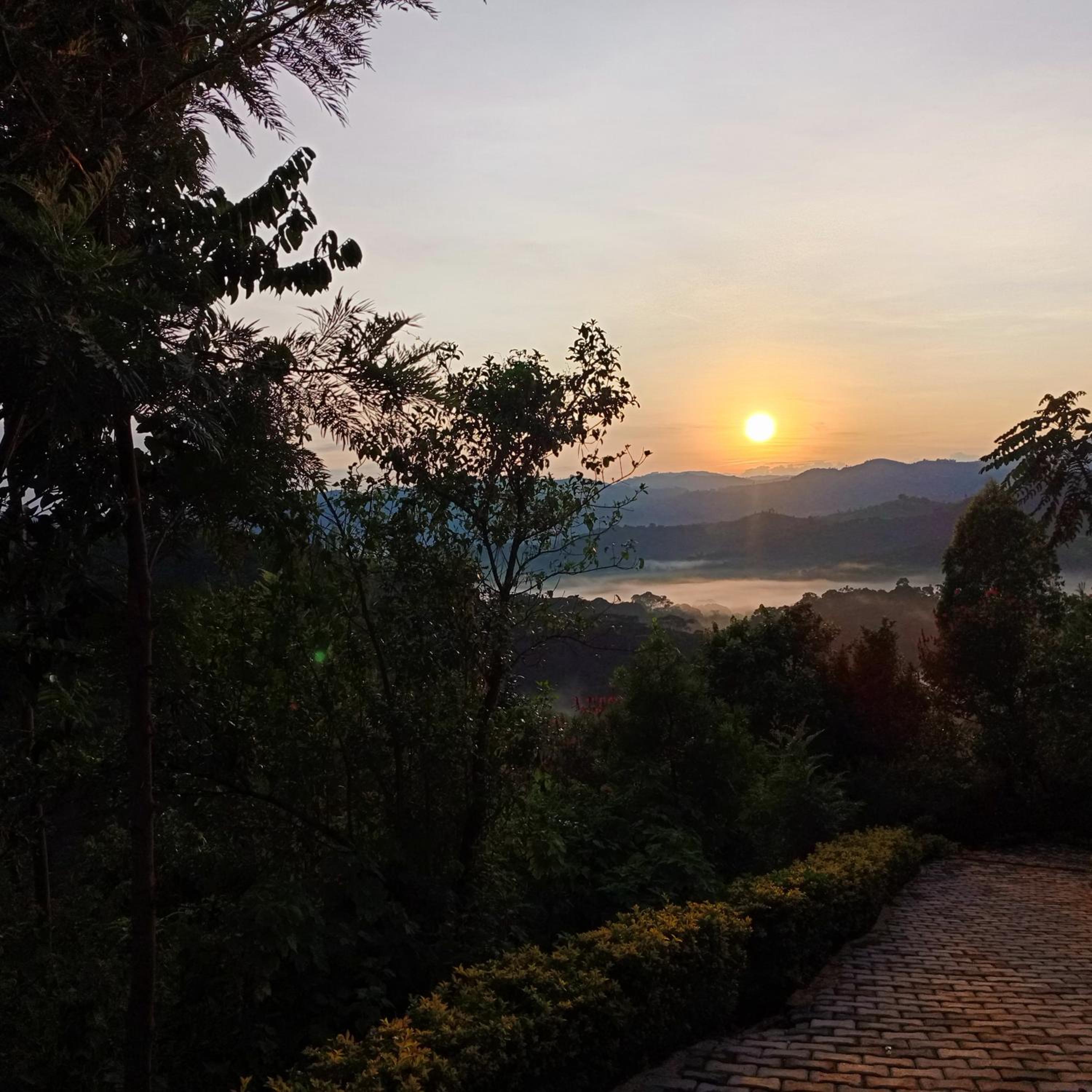 Bwindi Neckview Lodge