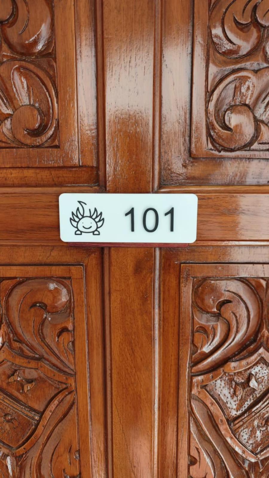 Suite Ajolote by Casa Morena
