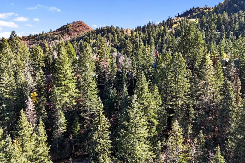 Beartooth Lodge with Hot Tub and Stuart Falls Views