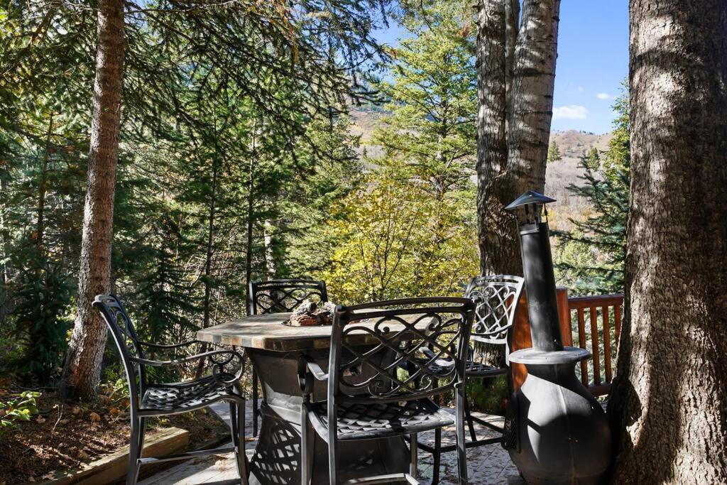 Beartooth Lodge with Hot Tub and Stuart Falls Views