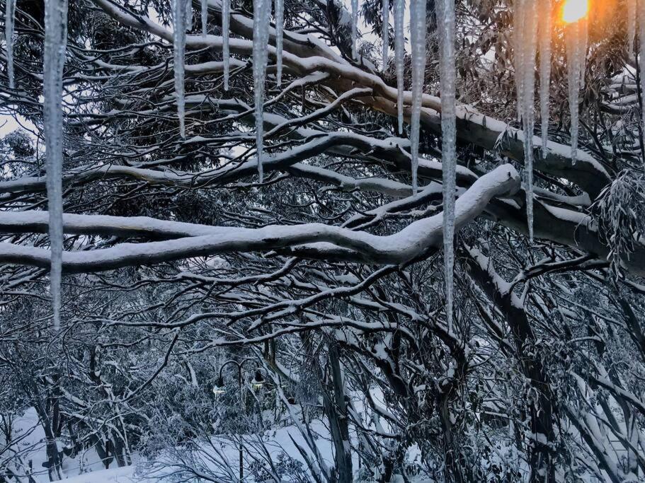 Cosy Mount Buller Alpine Chalet Sleeps 12