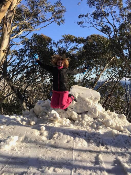 Cosy Mount Buller Alpine Chalet Sleeps 12