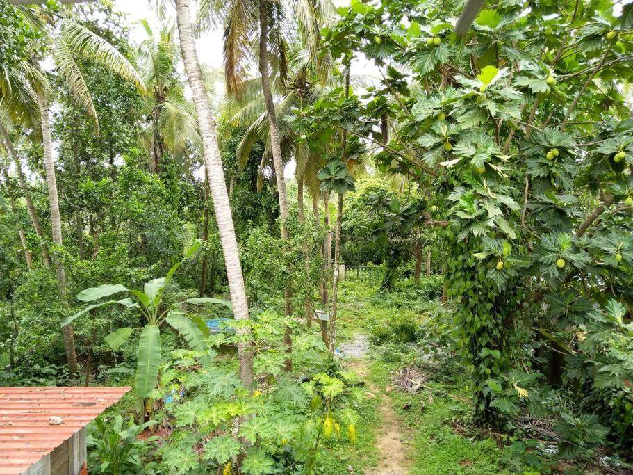 Gopal Homestay Udupi