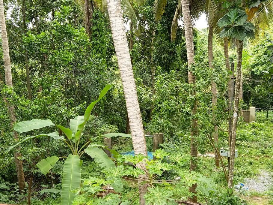 Gopal Homestay Udupi
