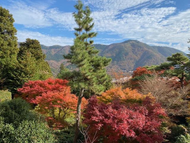 Hotel Marroad Hakone