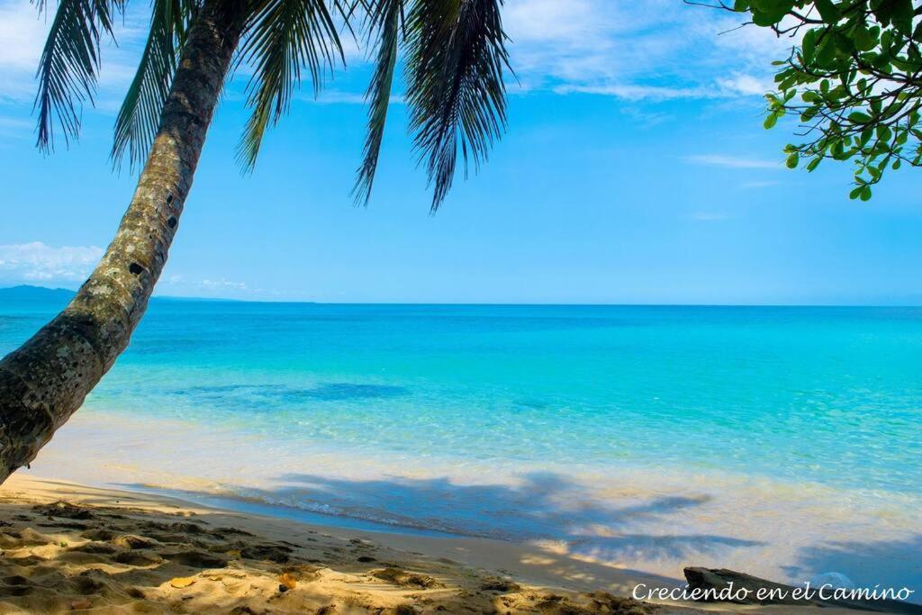 Jawy's House, Puerto Viejo, Limón