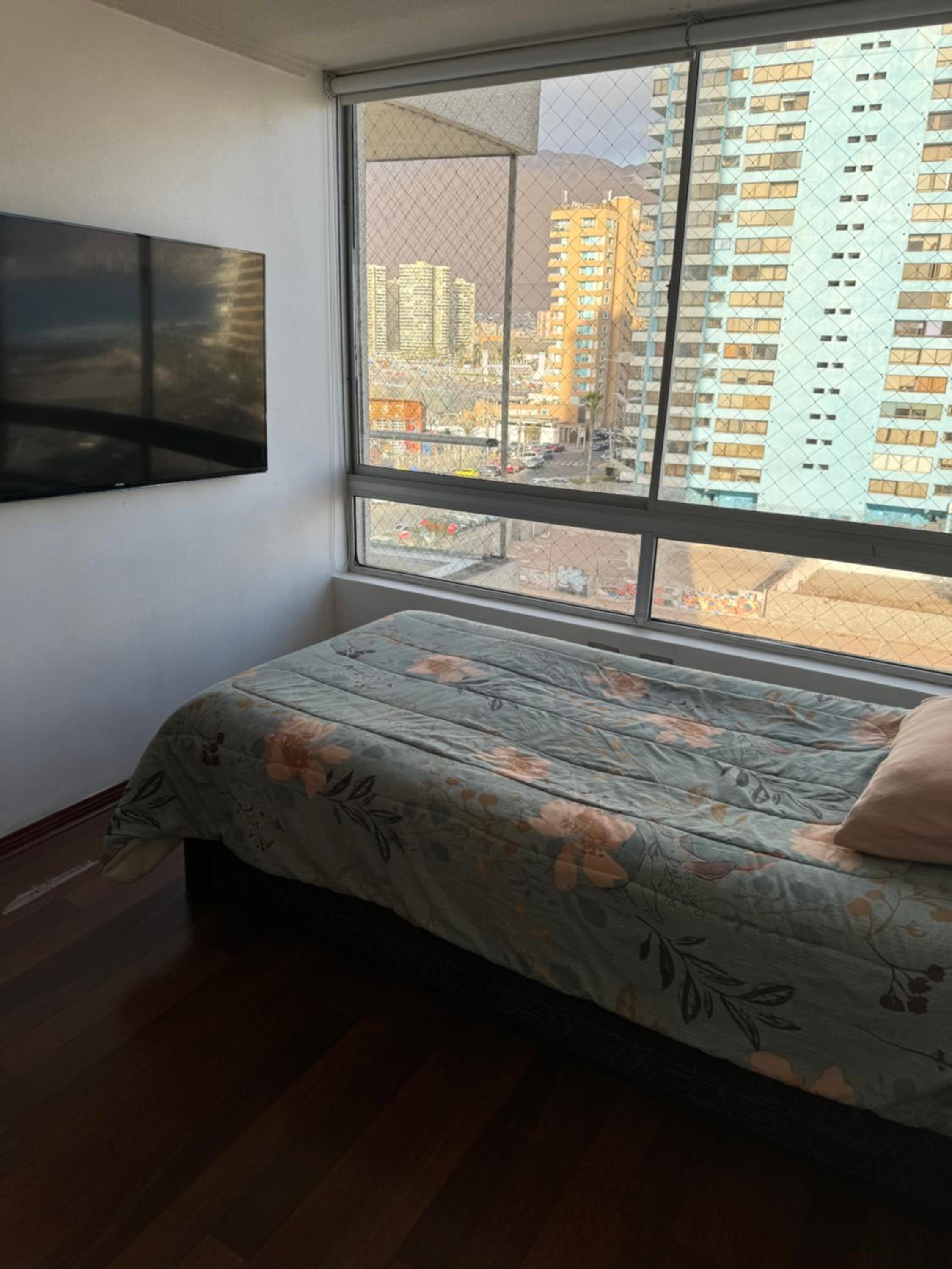 Departamento península