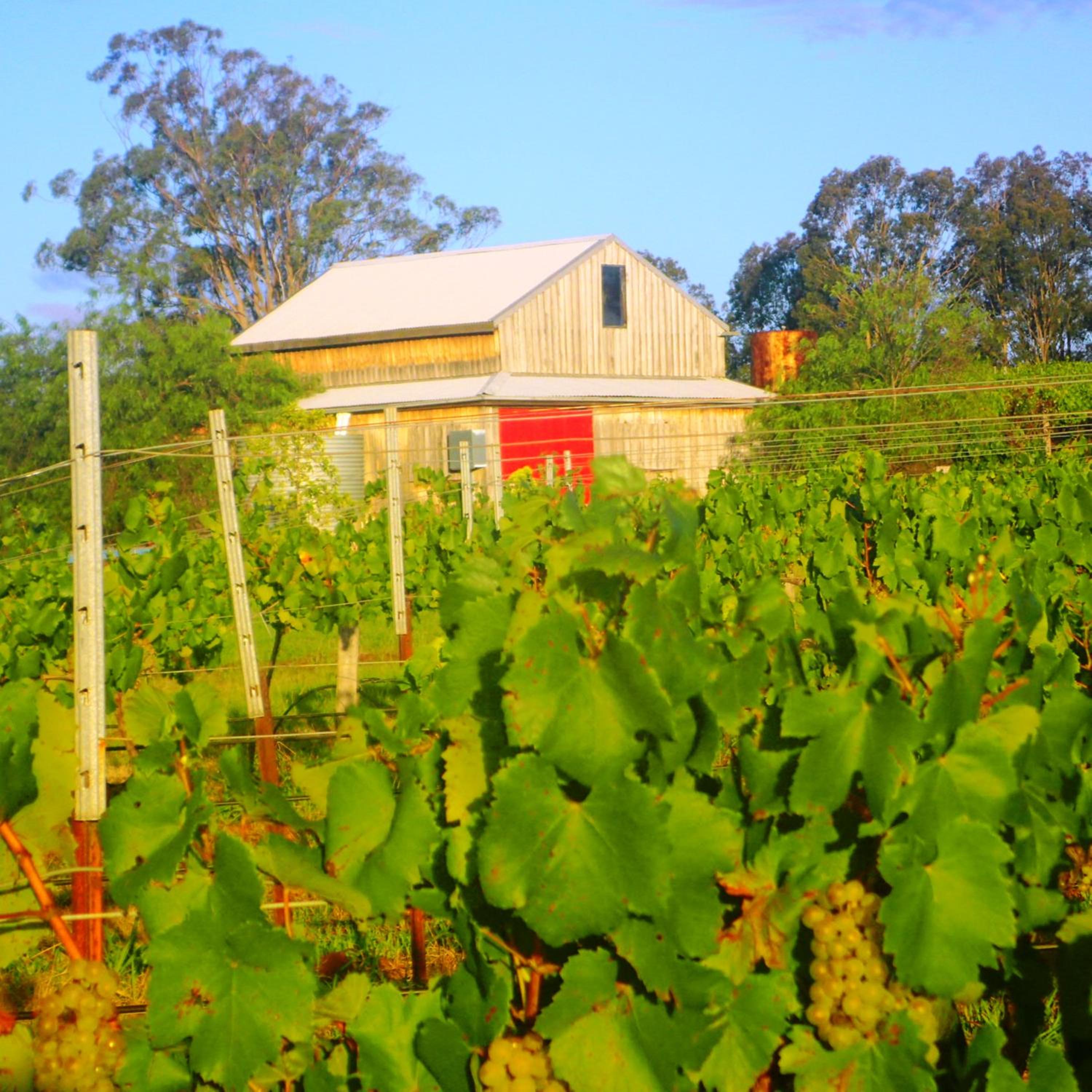 Red Door Collective - RDC Vineyard Estate, Luxury Adult Only Stay