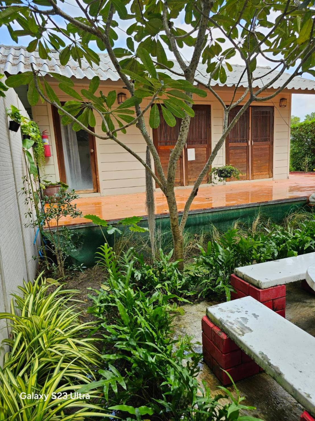 Terrua Main Ten Villa Garden