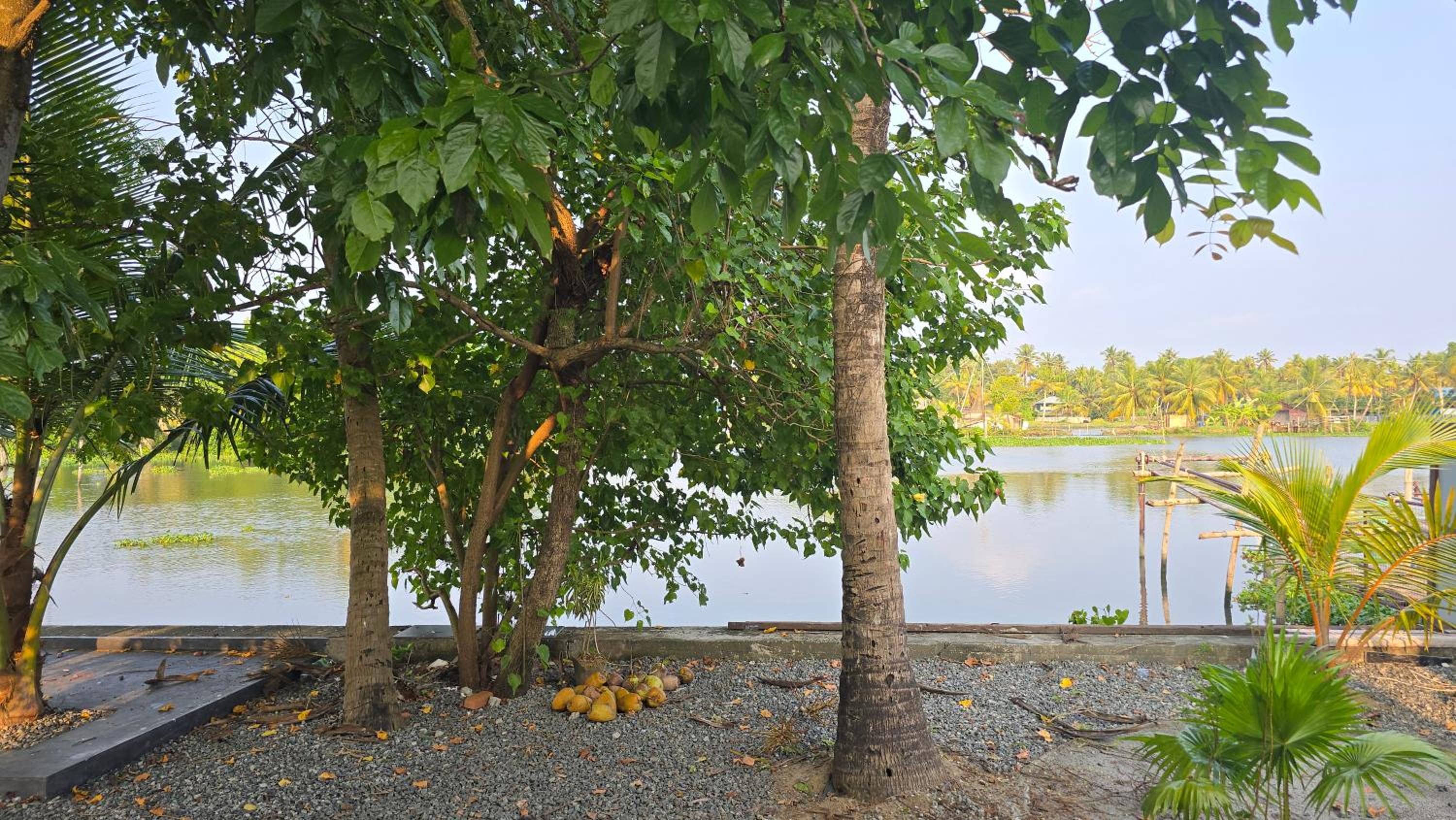 Pradeep's Backwater Villa, photo 17