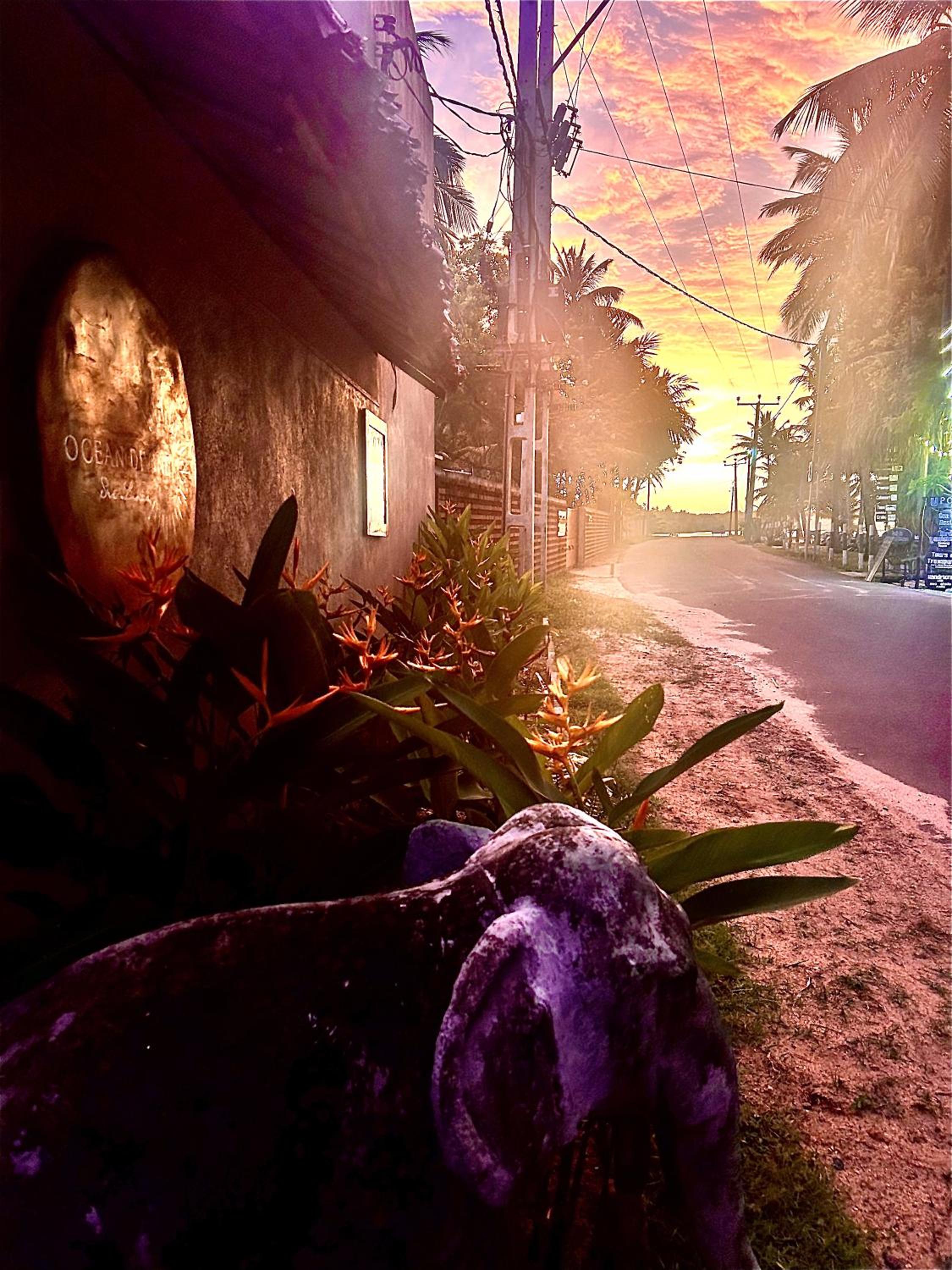 Ocean Divine Villa view 4