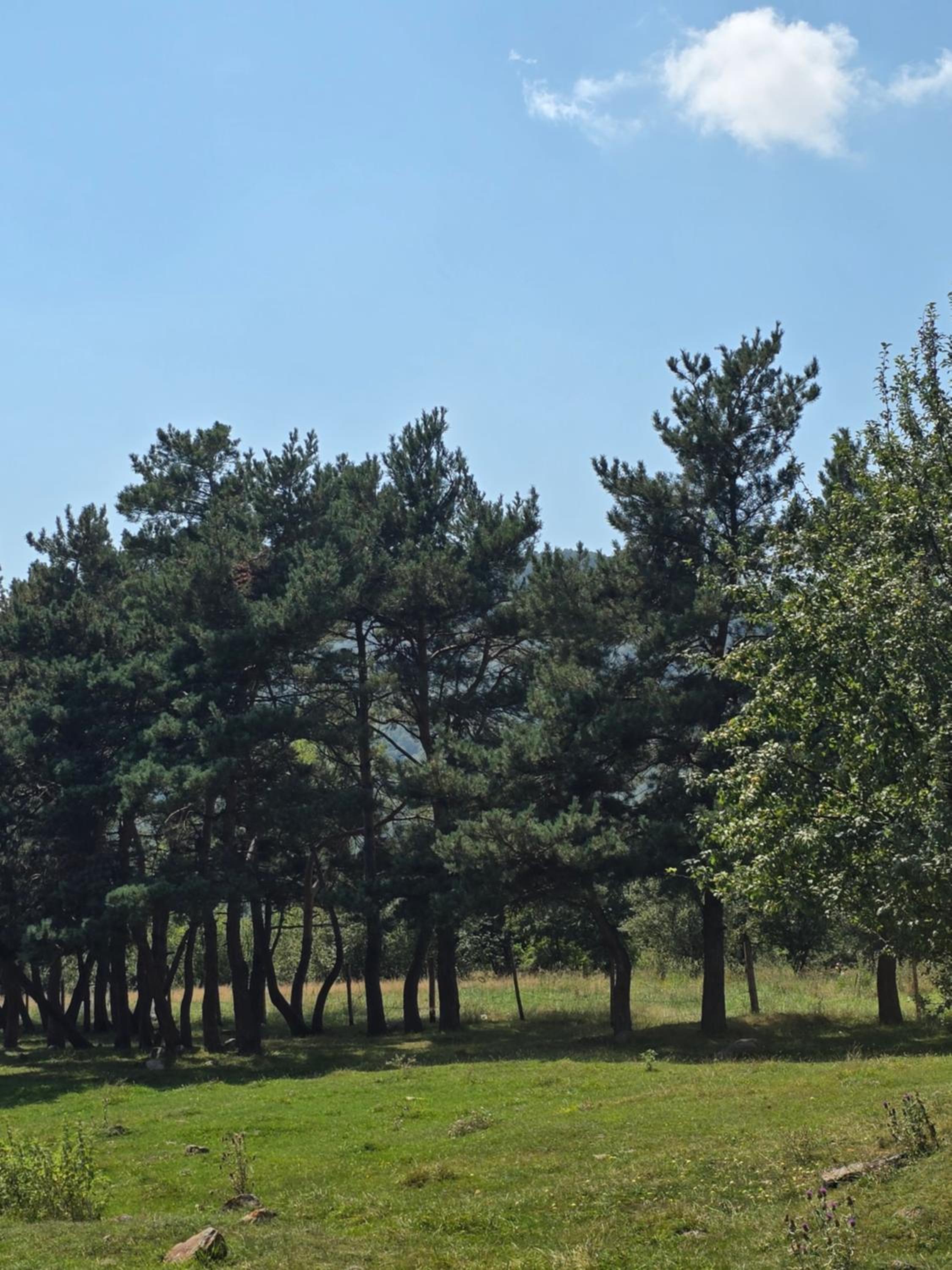Tevani Glamping