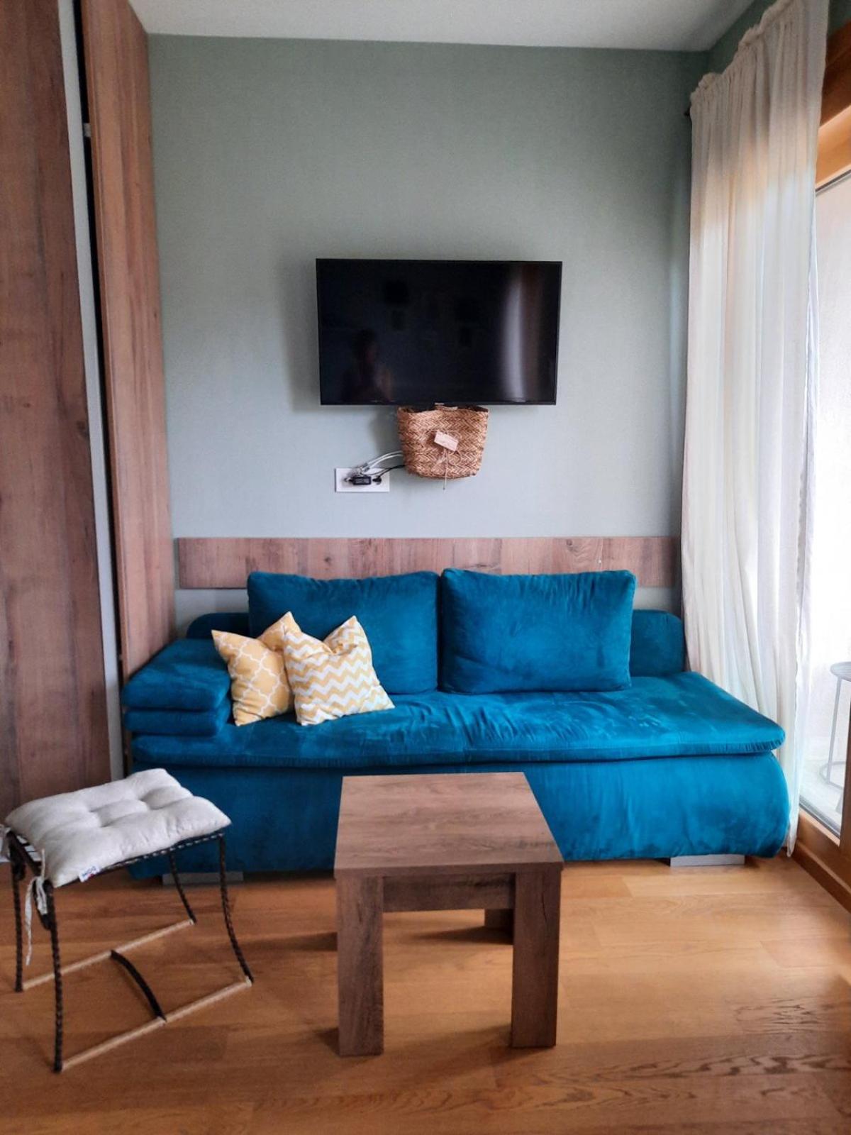 Studio apartman Paun Vila Elsa I Zlatibor view 2