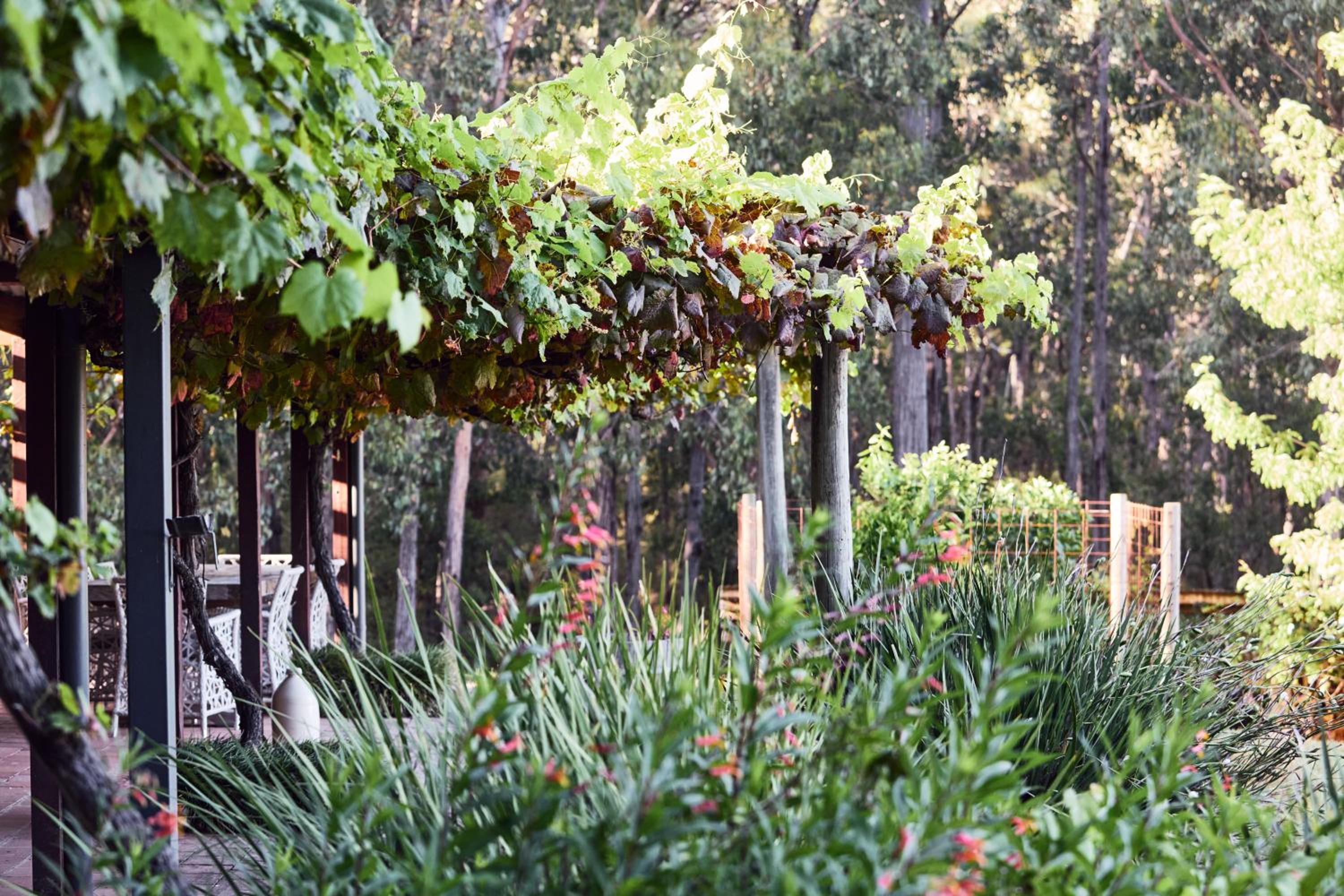 Yarradene Luxury Healesville Farmstay