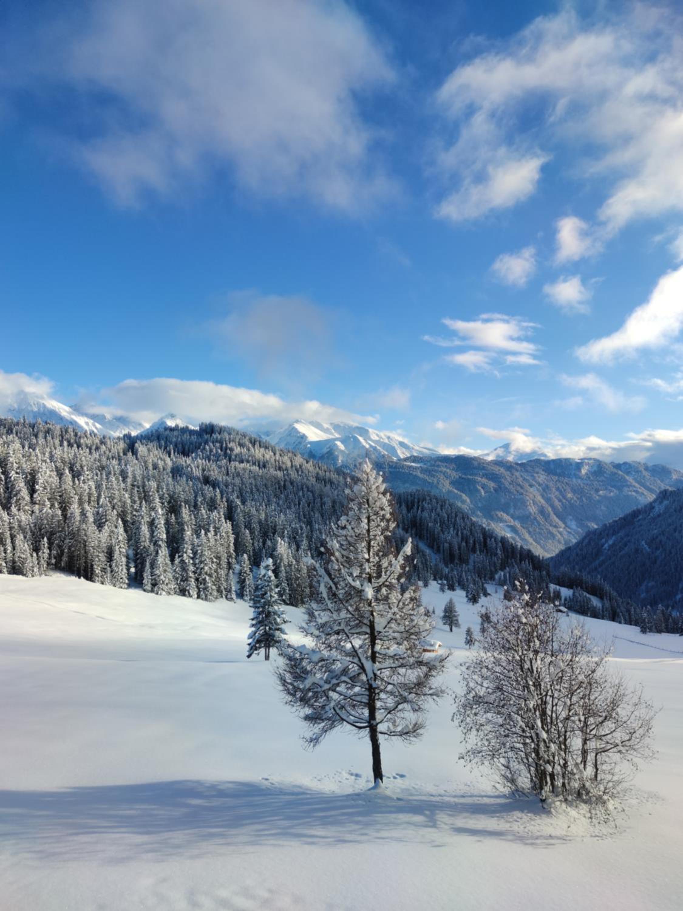 Hög Alm Serfaus
