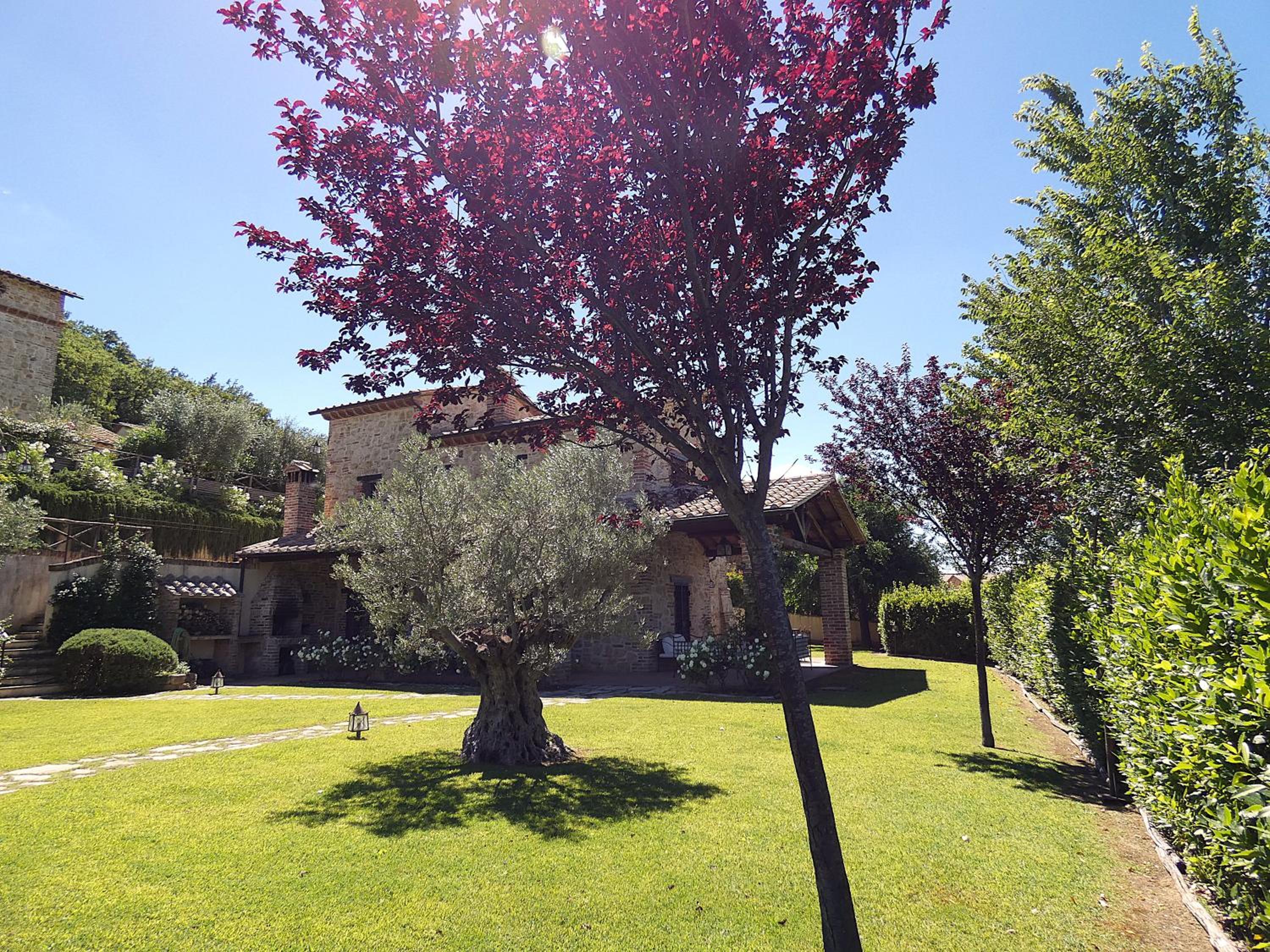 Photo 41