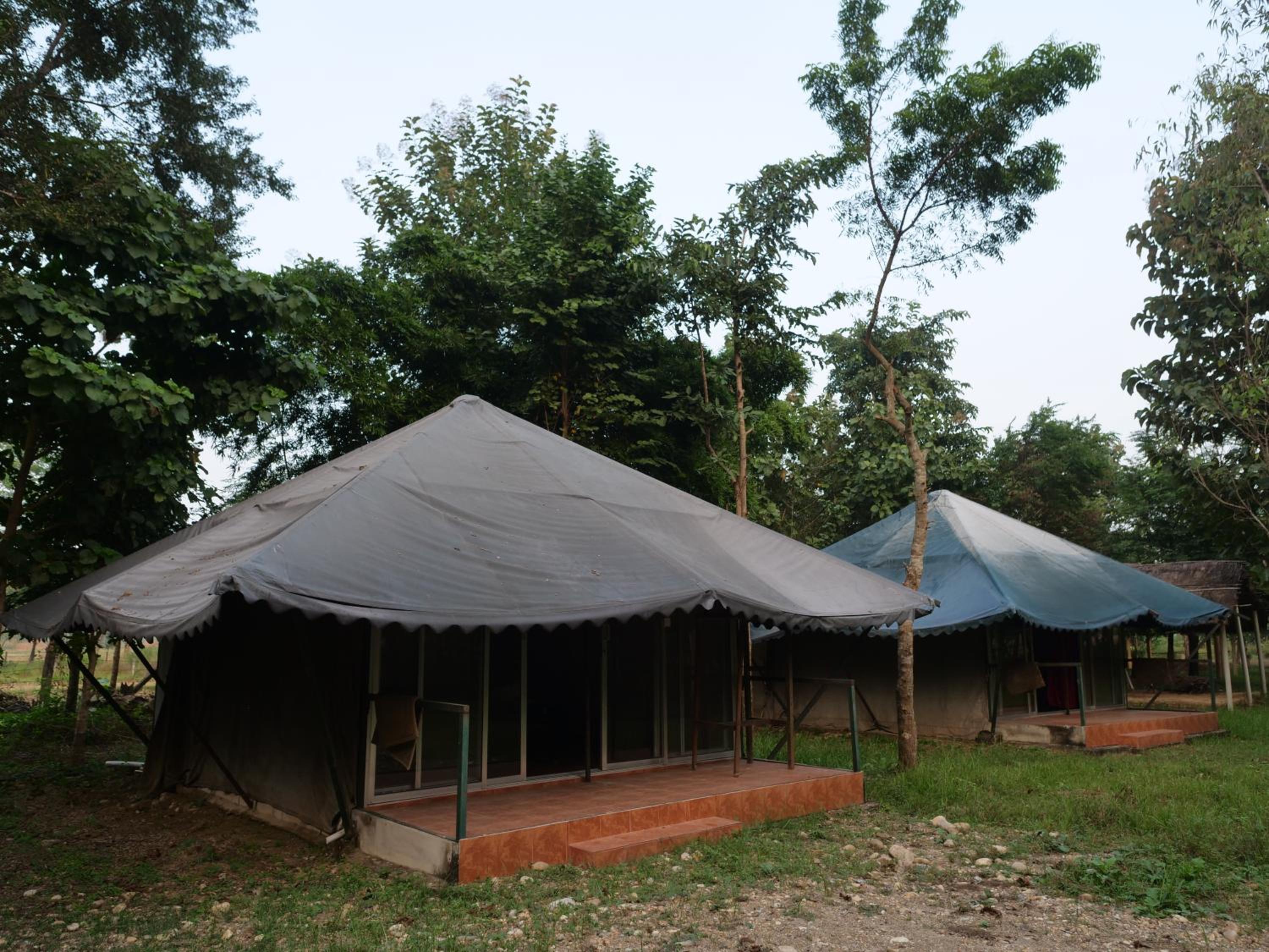 Karnali jungle camp - camping side in Bardia view 2