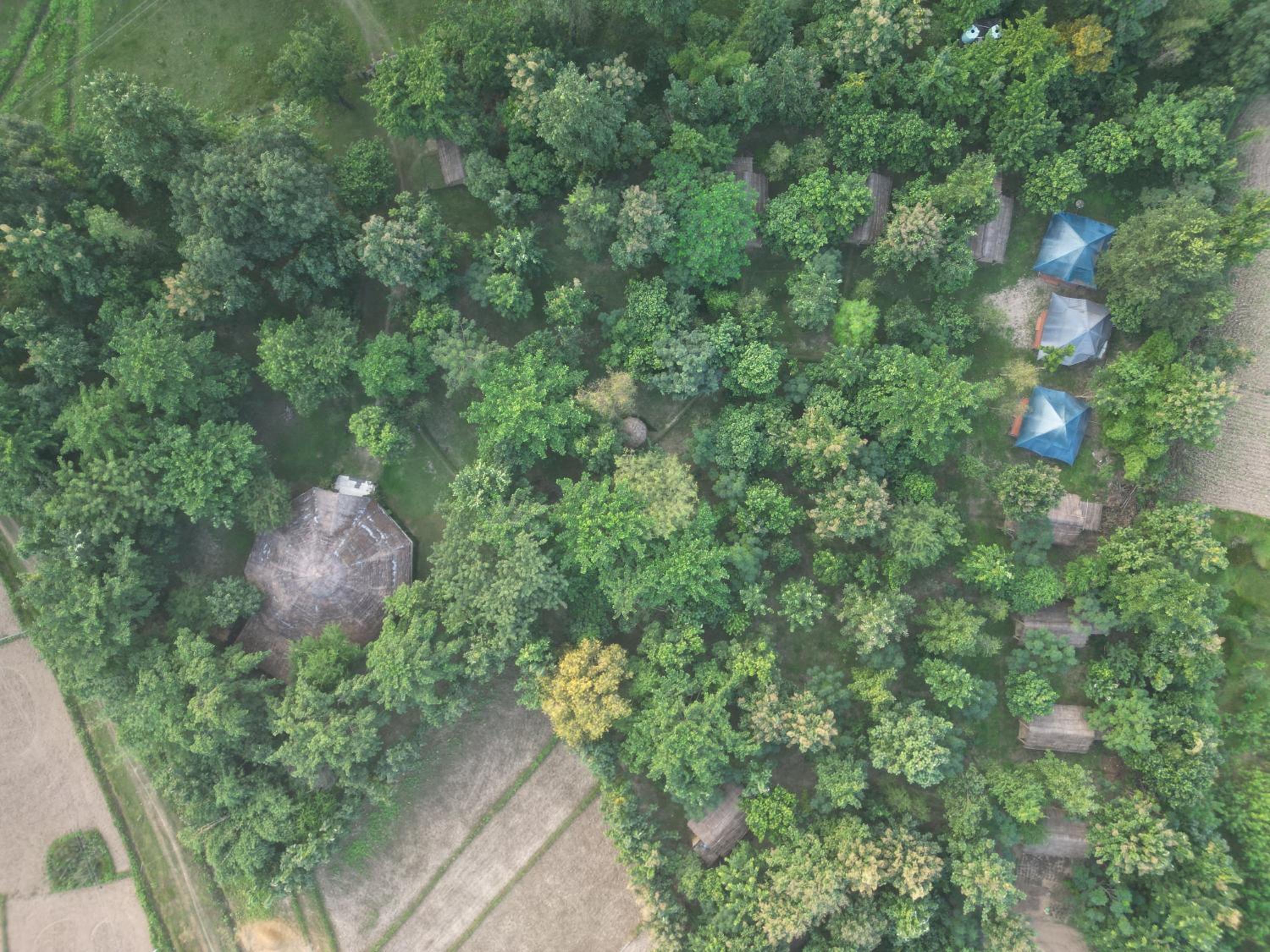 Karnali jungle camp - camping side in Bardia view 4