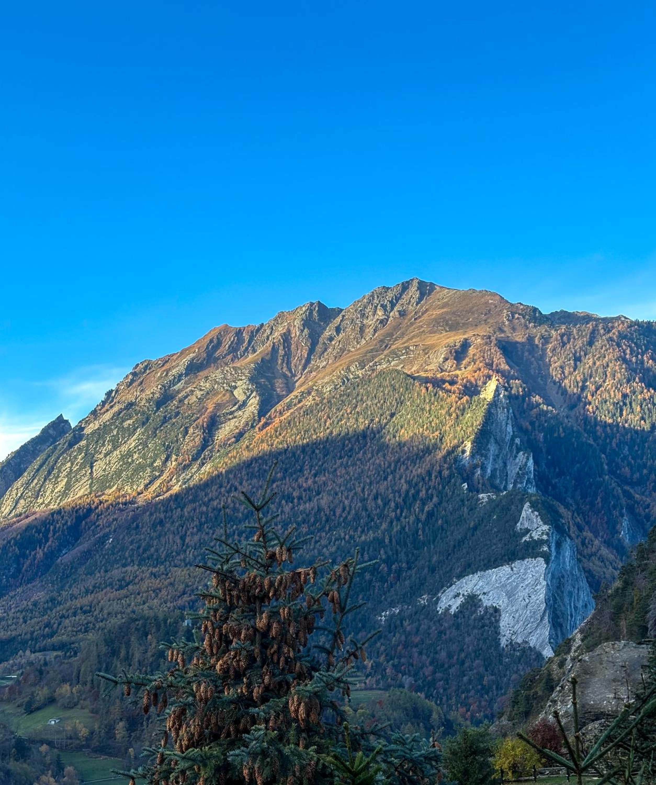 Le Lundi au Soleil