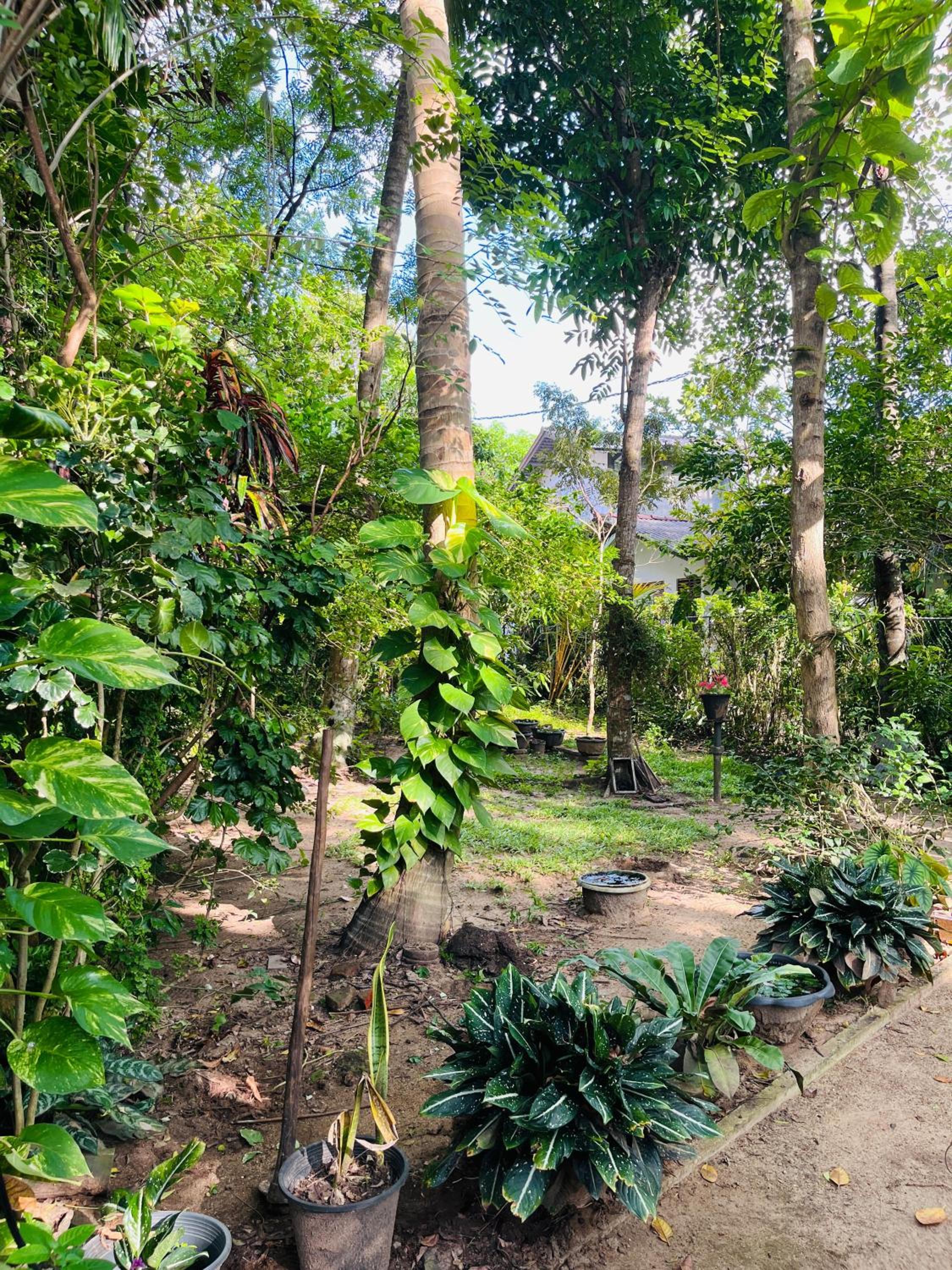 Delgahawattha Villa
